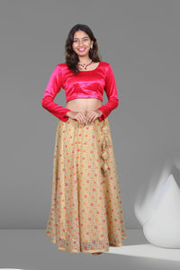 Multicolour Net Lehenga with Crop Top