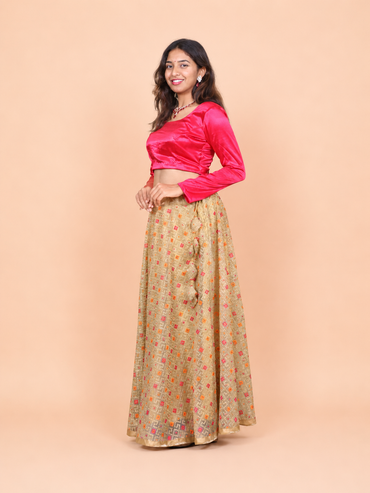 Multicolour Net Lehenga with Crop Top